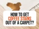 how to get coffee stains out of carpet