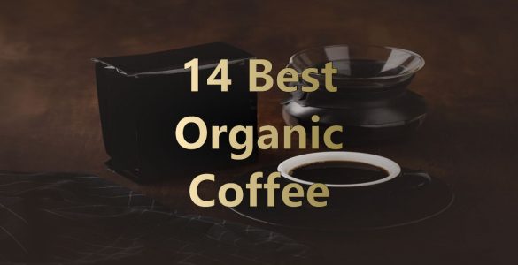 Best Organic Coffee