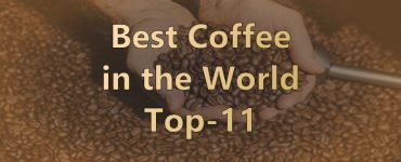 Best Coffee Beans in the World