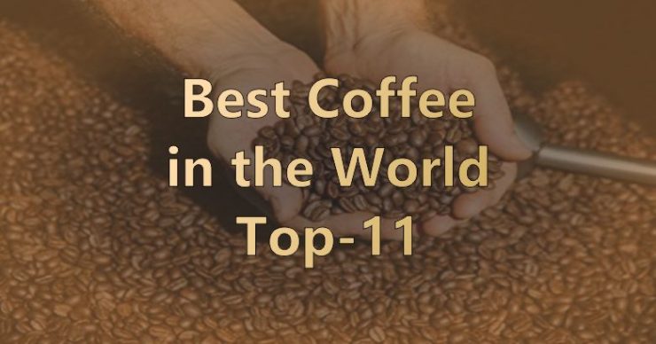 Best Coffee Beans in the World