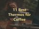 Best Thermos for Coffee
