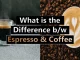 What is the Difference Between Espresso and Coffee
