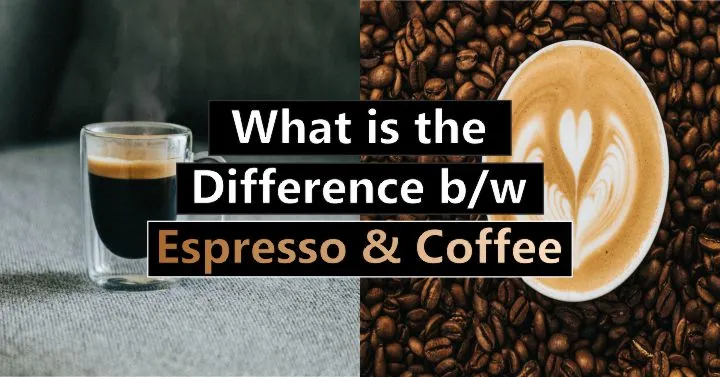 What is the Difference Between Espresso and Coffee