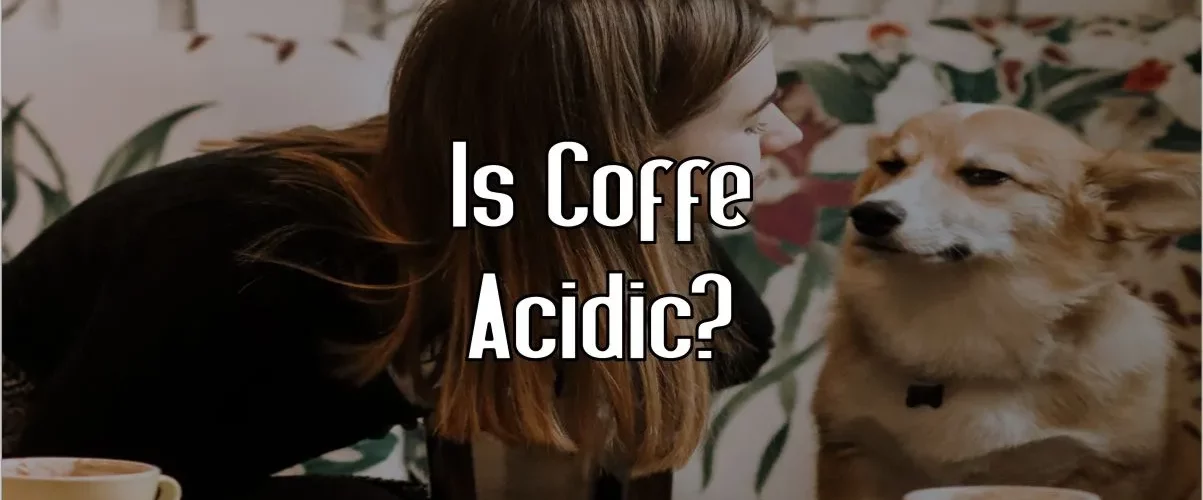 Is Coffee Acidic