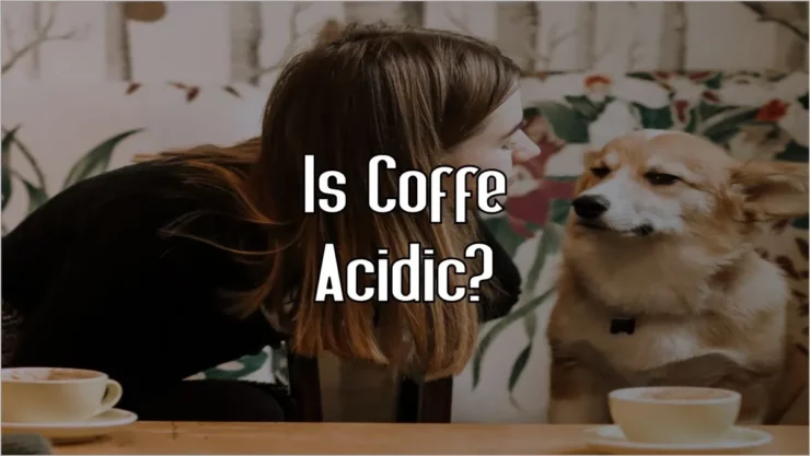 Is Coffee Acidic