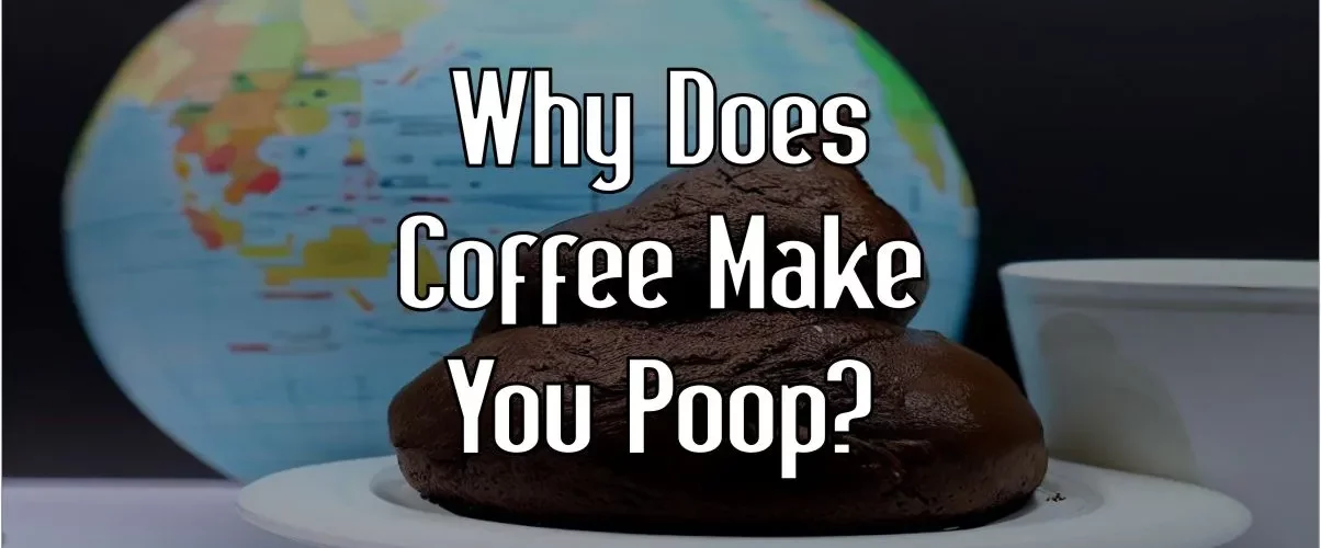 Why does coffee make you poop