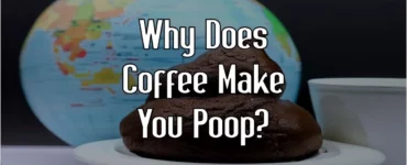 Why does coffee make you poop