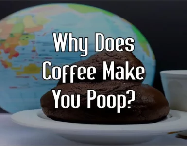 Why does coffee make you poop