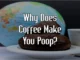 Why does coffee make you poop